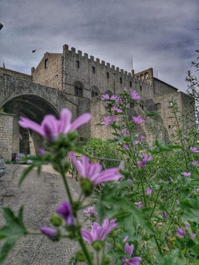 B&B Le Cinque Querce Viterbo Exterior photo